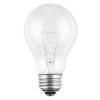 Incandescent Bulbs