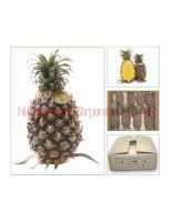 Fresh Pineapples