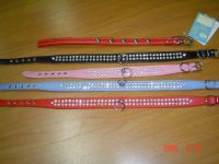 Pet Collars & Leashes